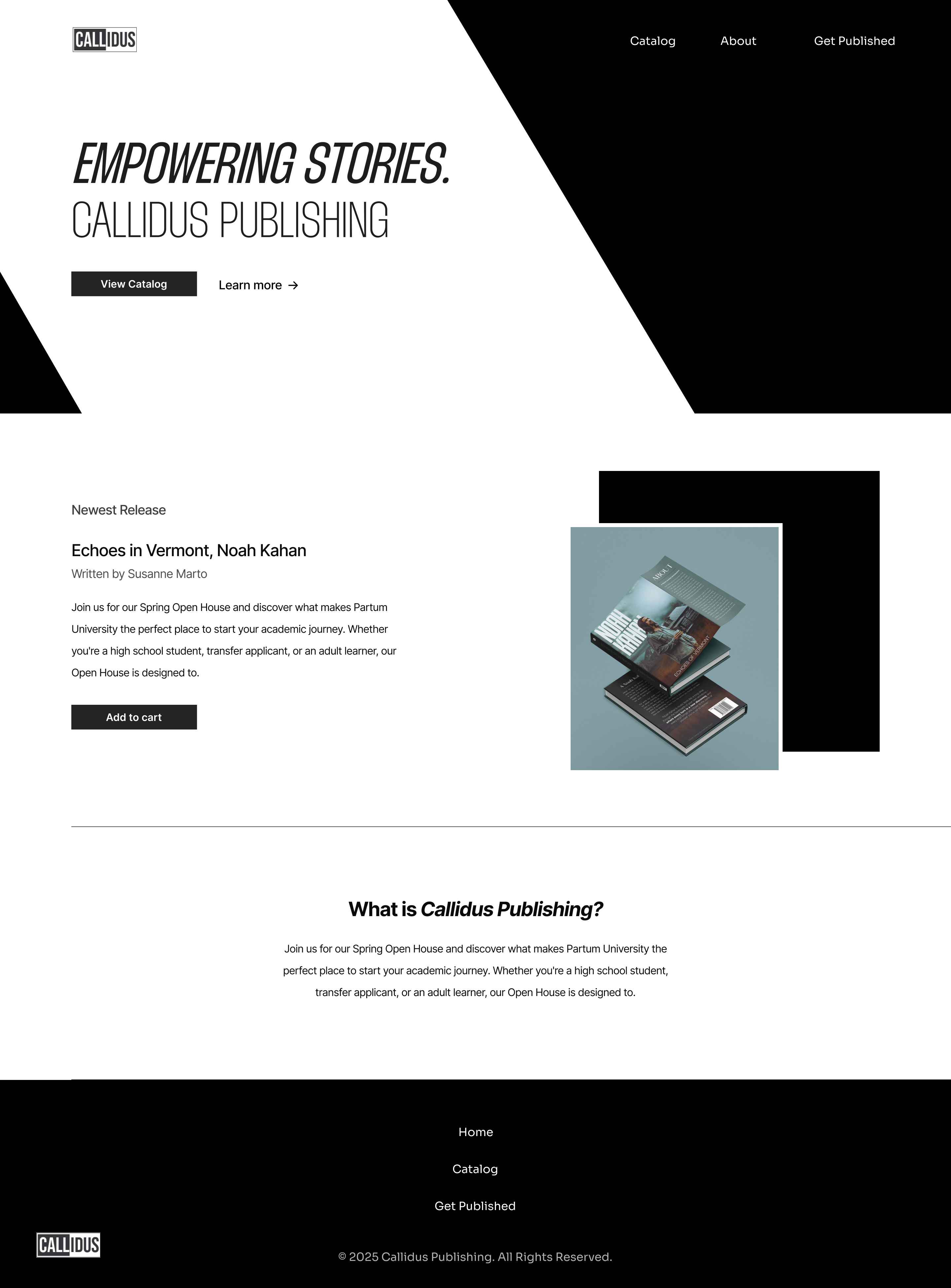 Website Design Left