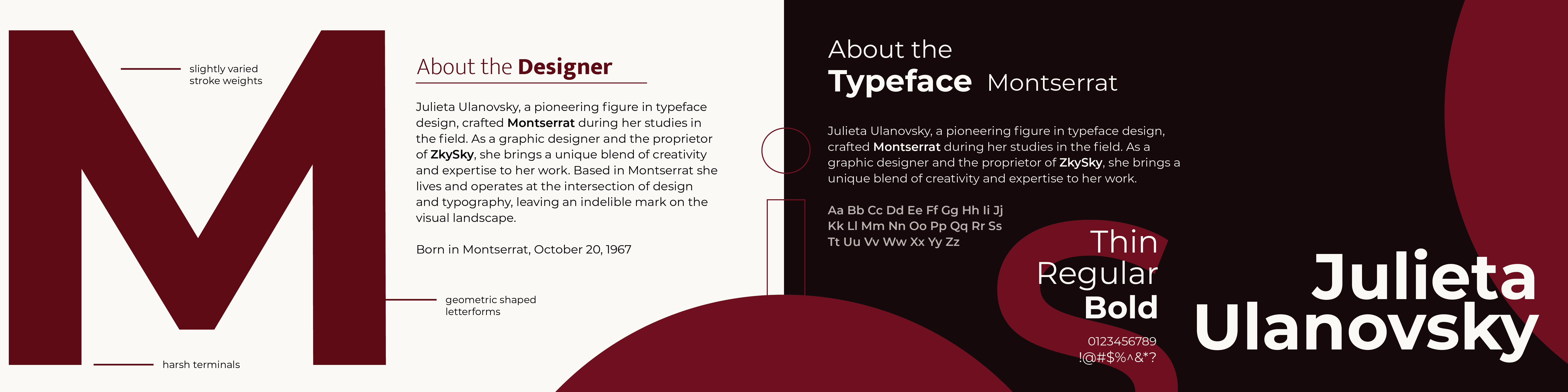 Website Design Left